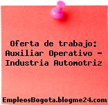 Oferta de trabajo: Auxiliar Operativo – Industria Automotriz