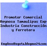 Promotor Comercial Reynosa Tamaulipas Exp Industria Construcción y Ferretera