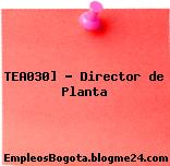 TEA030] – Director de Planta