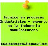 Técnico en procesos Industriales – experto en la Industria Manufacturera