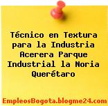 Técnico en Textura para la Industria Acerera Parque Industrial la Noria Querétaro