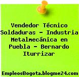 Vendedor Técnico Soldaduras – Industria Metalmecánica en Puebla – Bernardo Iturrizar