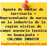 Agente de ventas de territorio – Representante de marca en la industria de la region visitas de campo asesoria tecnica en Guanajuato – CALZADO INDUSTR