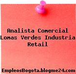 Analista Comercial Lomas Verdes Industria Retail