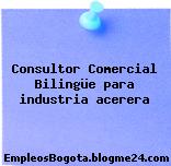 Consultor Comercial Bilingüe para industria acerera