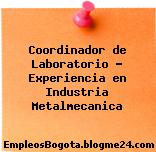 Coordinador de Laboratorio – Experiencia en Industria Metalmecanica