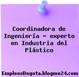 Coordinadora de Ingeniería – experto en Industria del Plástico