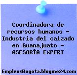 Coordinadora de recursos humanos – Industria del calzado en Guanajuato – ASESORÍA EXPERT