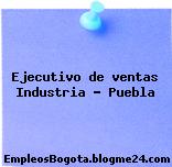 Ejecutivo de ventas Industria – Puebla