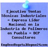 Ejecutivo Ventas Técnicas Industriales – Empresa Líder Nacional en la Industria de Polímeros en Puebla – BCP Consultores