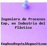Ingeniero de Procesos Exp. en Industria del Plástico