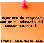 Ingeniero de Proyectos Senior – Industria del Sector Automotriz