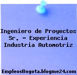 Ingeniero de Proyectos Sr. – Experiencia Industria Automotriz