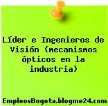 Líder e Ingenieros de Visión (mecanismos ópticos en la industria)