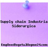 Supply chain Industria Siderurgica