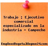 Trabajo : Ejecutivo comercial especializado en la industria – Campeche