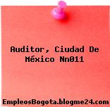 Auditor, Ciudad De México Nn011