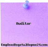 Auditor