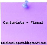 Capturista – Fiscal