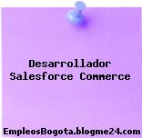 Desarrollador Salesforce Commerce