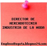 DIRECTOR DE MERCADOTECNIA INDUSTRIA DE LA MODA