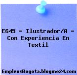 E645 – Ilustrador/A – Con Experiencia En Textil