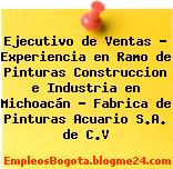 Ejecutivo de Ventas – Experiencia en Ramo de Pinturas Construccion e Industria en Michoacán – Fabrica de Pinturas Acuario S.A. de C.V