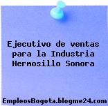 Ejecutivo de ventas para la Industria Hermosillo Sonora
