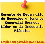 Gerente de Desarrollo de Negocios y Soporte Comercial Empresa Líder en la Industria Plástica