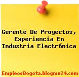Gerente De Proyectos, Experiencia En Industria Electrónica