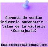 Gerente de ventas industria automotriz – Silao de la victoria (Guanajuato)