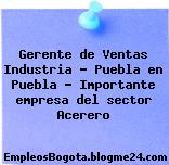 Gerente de Ventas Industria – Puebla en Puebla – Importante empresa del sector Acerero
