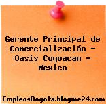 Gerente Principal de Comercialización – Oasis Coyoacan – Mexico