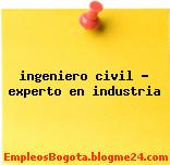 ingeniero civil – experto en industria