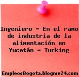 Ingeniero – En el ramo de industria de la alimentación en Yucatán – Turking
