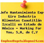 Jefe Mantenimiento Exp Giro Industria Alimentos Cuautitlán Izcalli en Estado de México – Working For You, S.A. de C.V