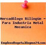 Mercadólogo Bilingüe – Para Industria Metal Mecanica