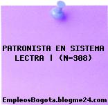 PATRONISTA EN SISTEMA LECTRA | (N-308)