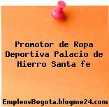 Promotor de Ropa Deportiva Palacio de Hierro Santa fe