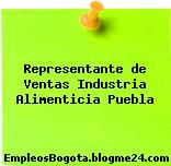 Representante de Ventas Industria Alimenticia Puebla