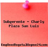 Subgerente Charly Plaza San Luis