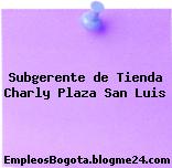 Subgerente de Tienda – Charly Plaza San Luis