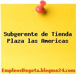 Subgerente de Tienda – Plaza las Americas