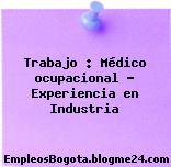Trabajo : Médico ocupacional – Experiencia en Industria