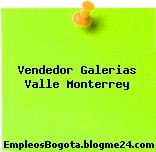 Vendedor Galerias Valle Monterrey