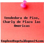 Vendedora de Piso. Charly de Plaza las Americas