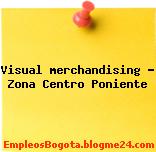 Visual merchandising – Zona Centro Poniente
