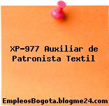 XP-977 Auxiliar de Patronista Textil