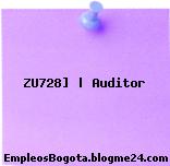 ZU728] | Auditor