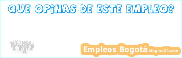 Asistente de Ingeniería (Diseño)